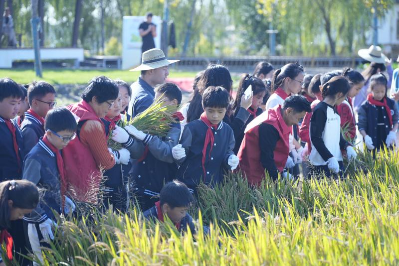 微信图片_20241120102210.jpg 微信图片_20241120102210.jpg