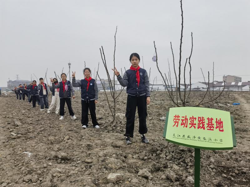 植树节 (5)_proc.jpg