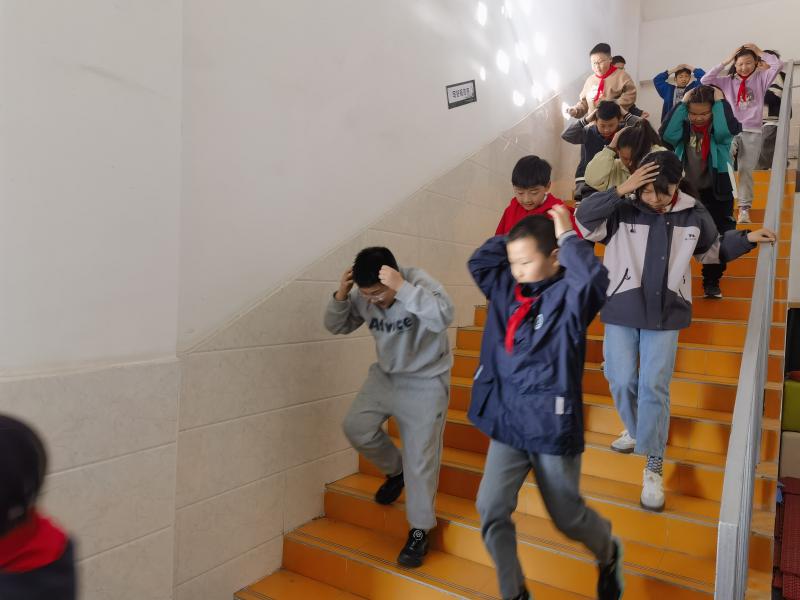 IMG_20250325_090138.jpg IMG_20250325_090138.jpg