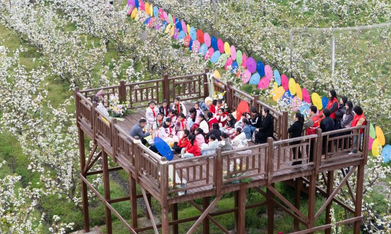 微信图片_20250328144223.jpg 微信图片_20250328144223.jpg